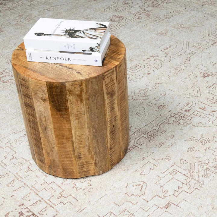 Anakin Traditional Style Ivory And Beige Area Rug - The Rug Decor