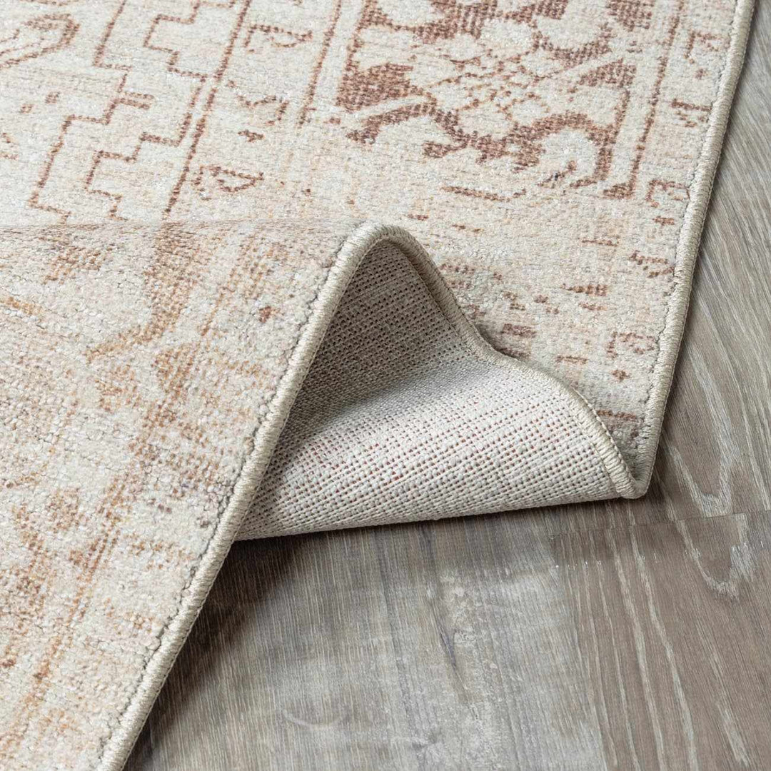 Anakin Traditional Style Ivory And Beige Area Rug - The Rug Decor