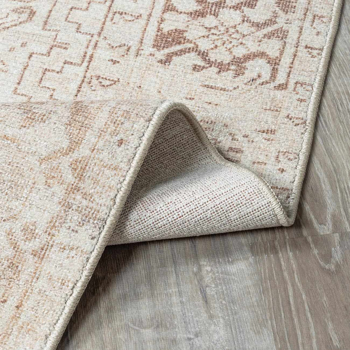 Anakin Traditional Style Ivory And Beige Area Rug - The Rug Decor