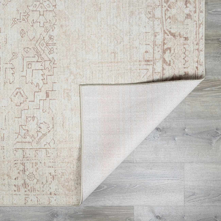 Anakin Traditional Style Ivory And Beige Area Rug - The Rug Decor
