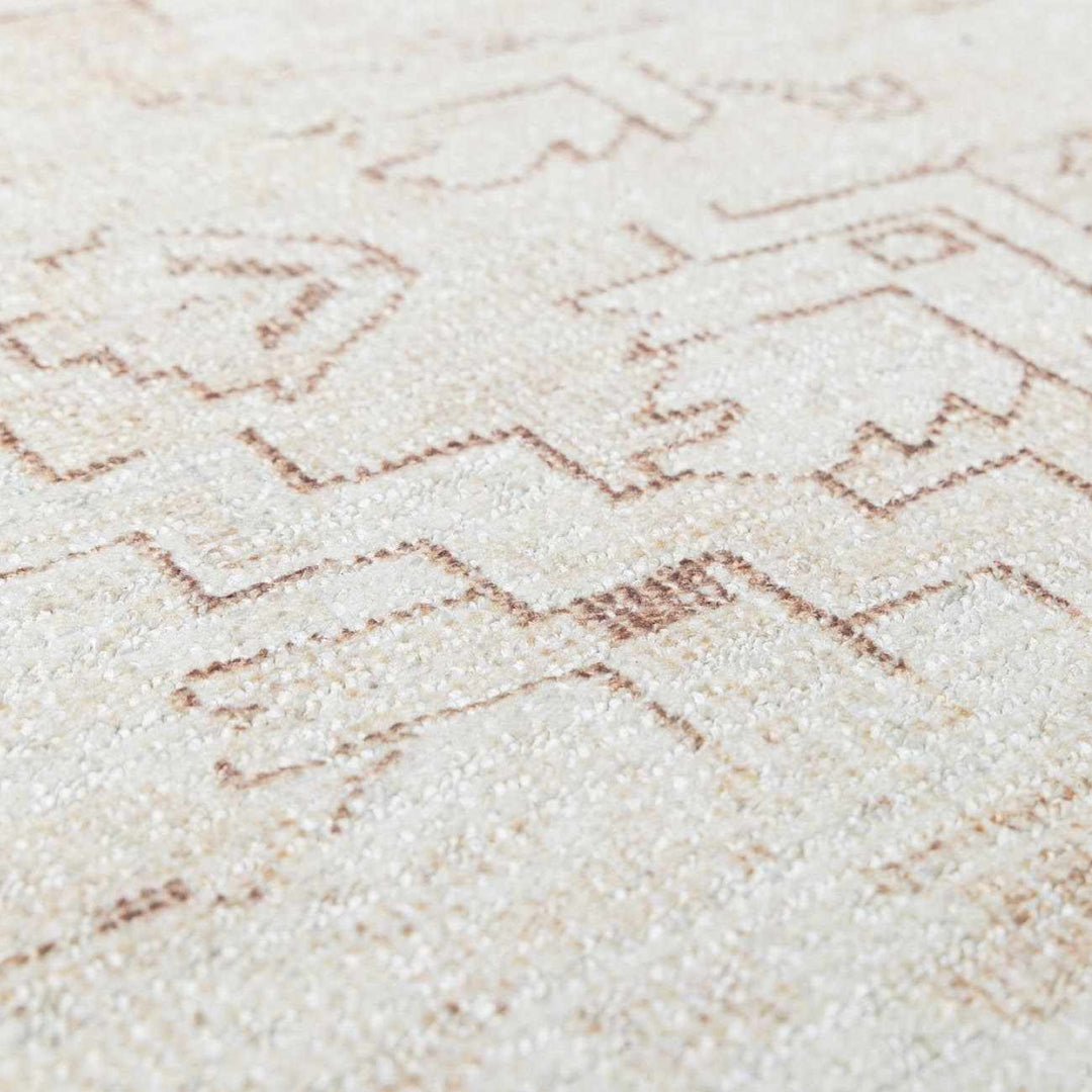 Anakin Traditional Style Ivory And Beige Area Rug - The Rug Decor