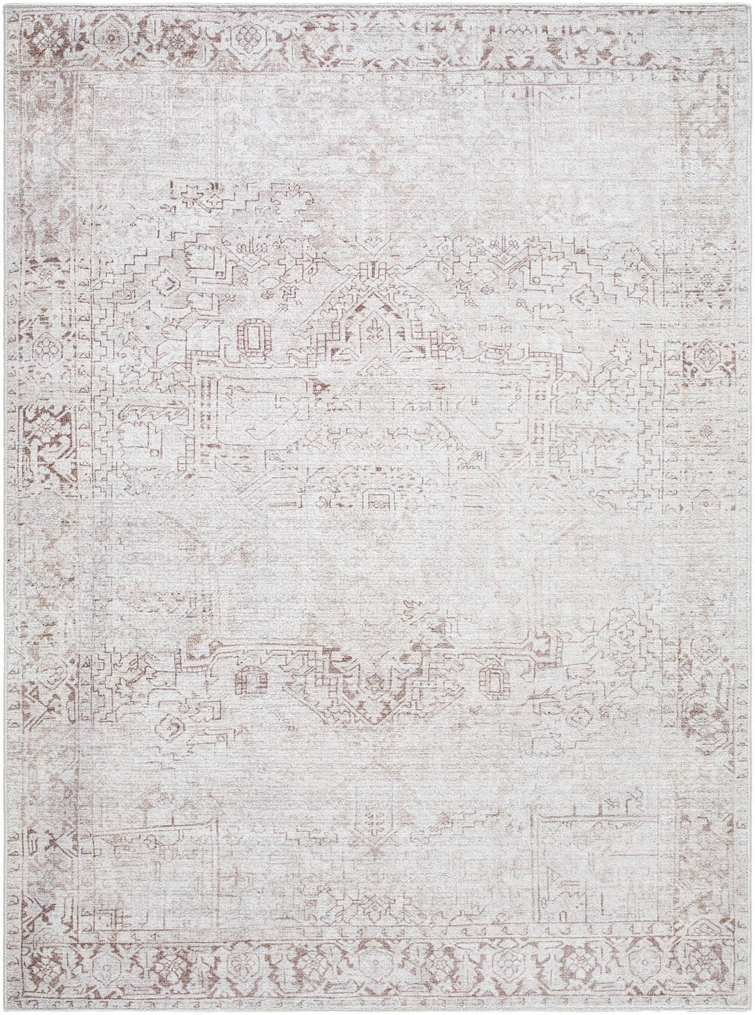 Anakin Traditional Style Ivory And Beige Area Rug - The Rug Decor