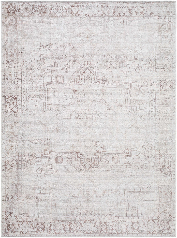 Anakin Traditional Style Ivory And Beige Area Rug - The Rug Decor