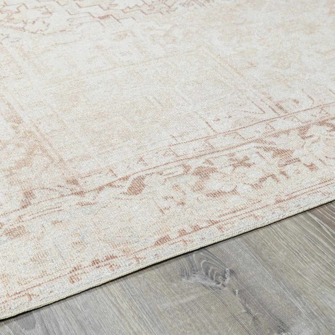 Anakin Traditional Style Ivory And Beige Area Rug - The Rug Decor