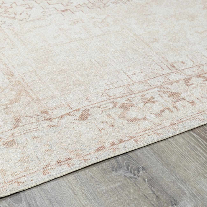 Anakin Traditional Style Ivory And Beige Area Rug - The Rug Decor