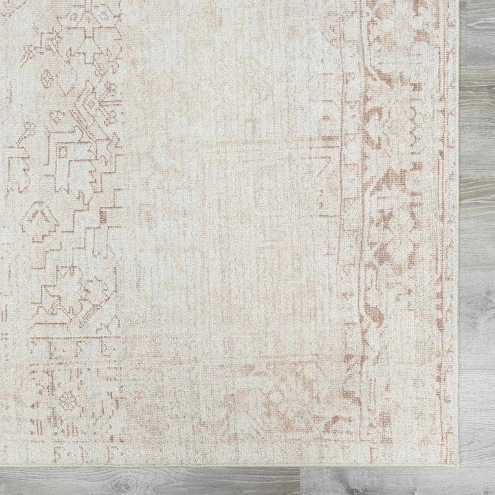 Anakin Traditional Style Ivory And Beige Area Rug - The Rug Decor