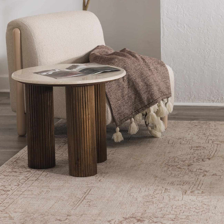 Anakin Traditional Style Ivory And Beige Area Rug - The Rug Decor