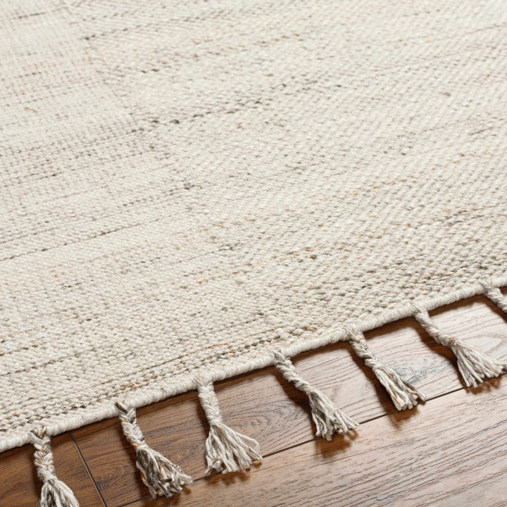 Anaya Contemporary Cream Hand Woven Area Rug - The Rug Decor