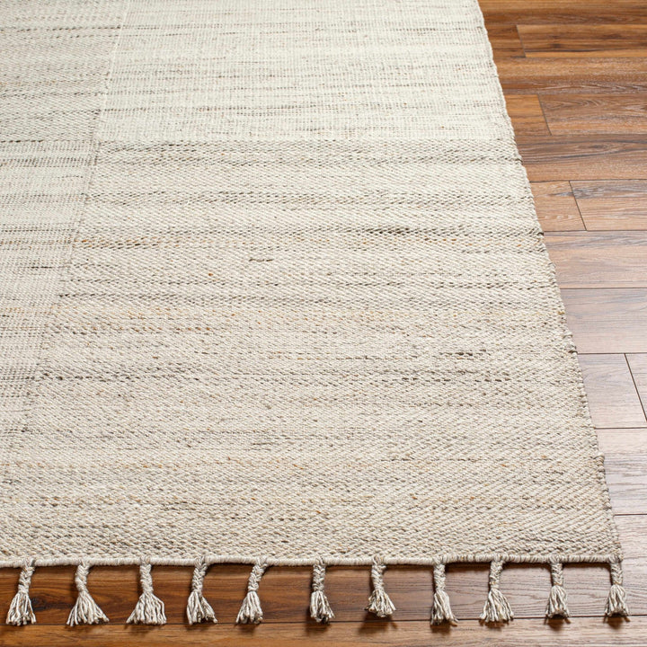 Anaya Contemporary Cream Hand Woven Area Rug - The Rug Decor