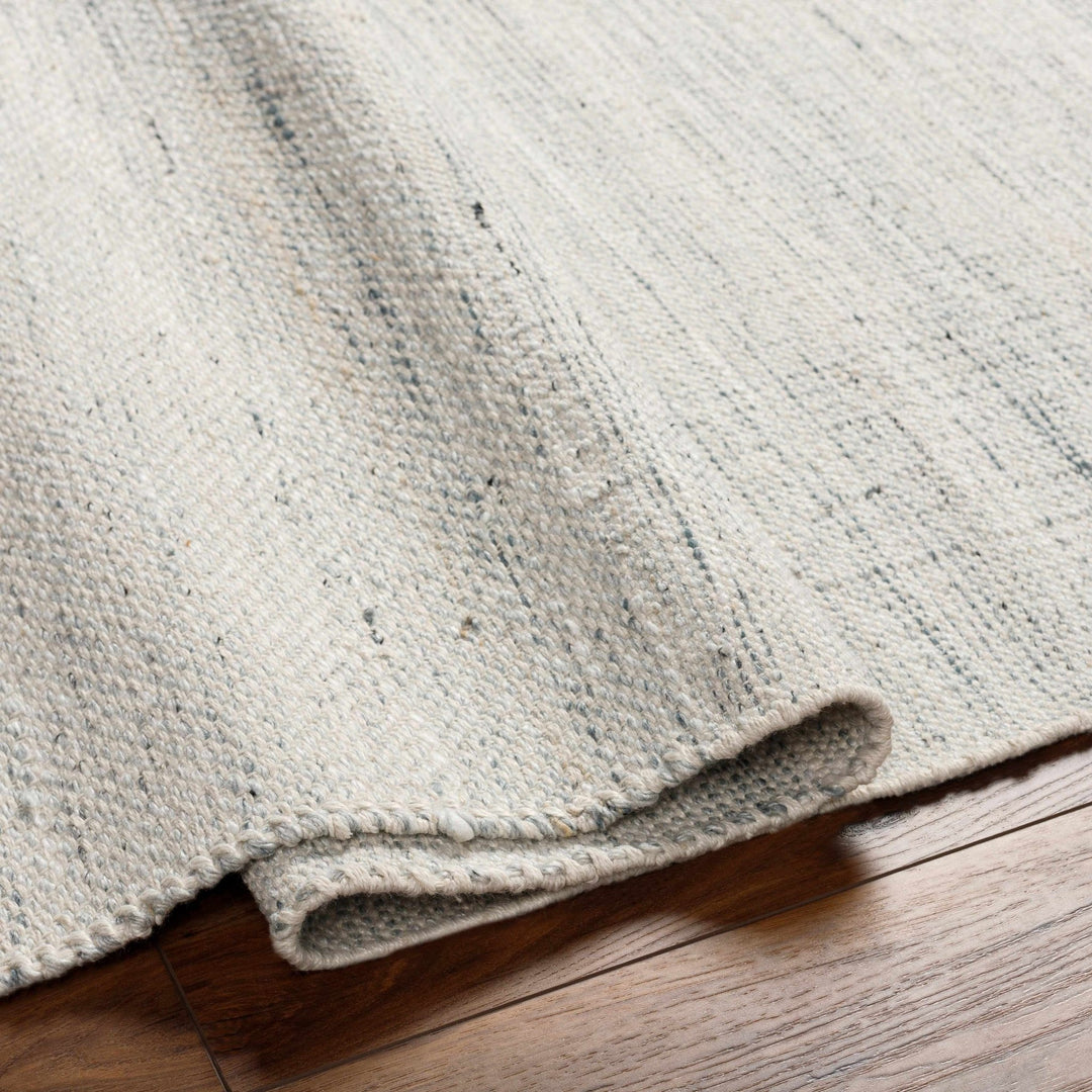 Anaya Traditional Style Ivory And Gray Hand Woven Area Rug - The Rug Decor