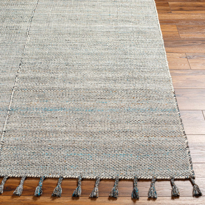 Anaya Traditional Style Ivory And Gray Hand Woven Area Rug - The Rug Decor