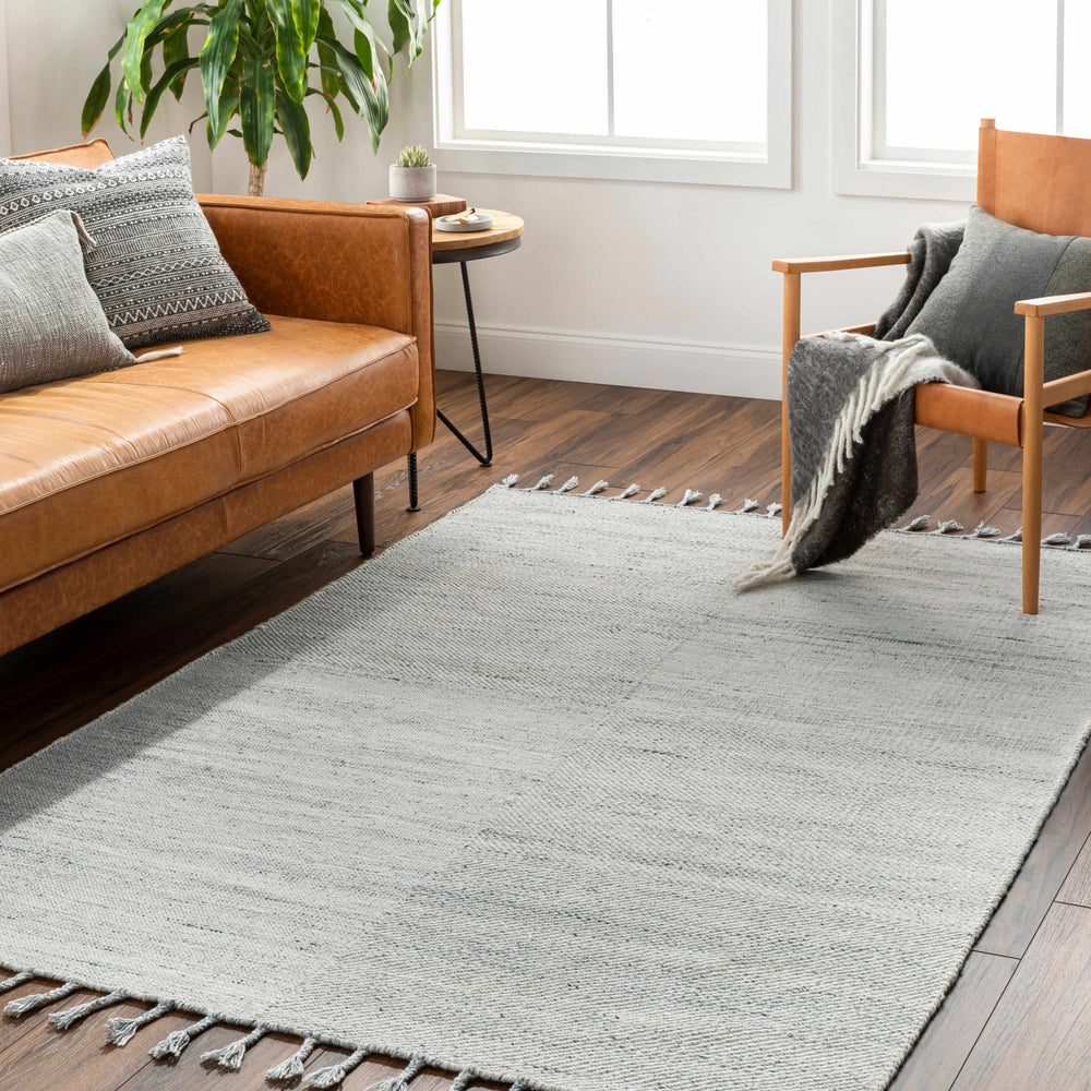 Anaya Traditional Style Ivory And Gray Hand Woven Area Rug - The Rug Decor
