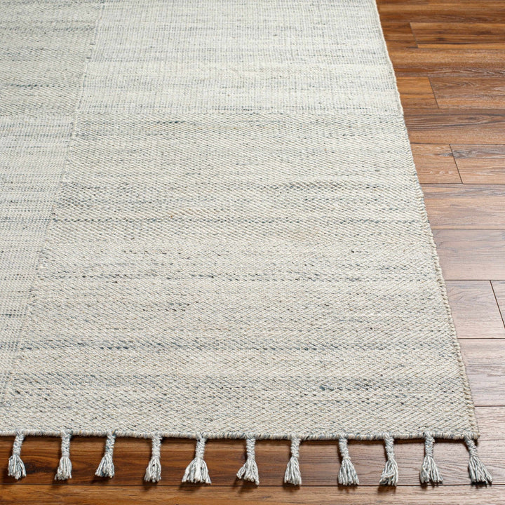 Anaya Traditional Style Ivory And Gray Hand Woven Area Rug - The Rug Decor