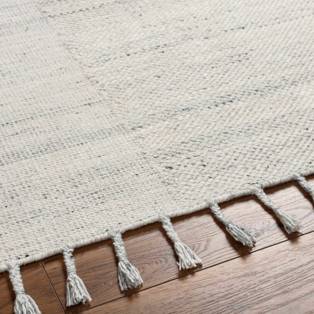 Anaya Traditional Style Ivory And Gray Hand Woven Area Rug - The Rug Decor