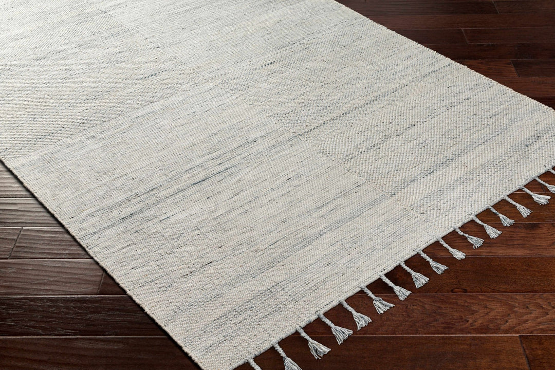 Anaya Traditional Style Ivory And Gray Hand Woven Area Rug - The Rug Decor