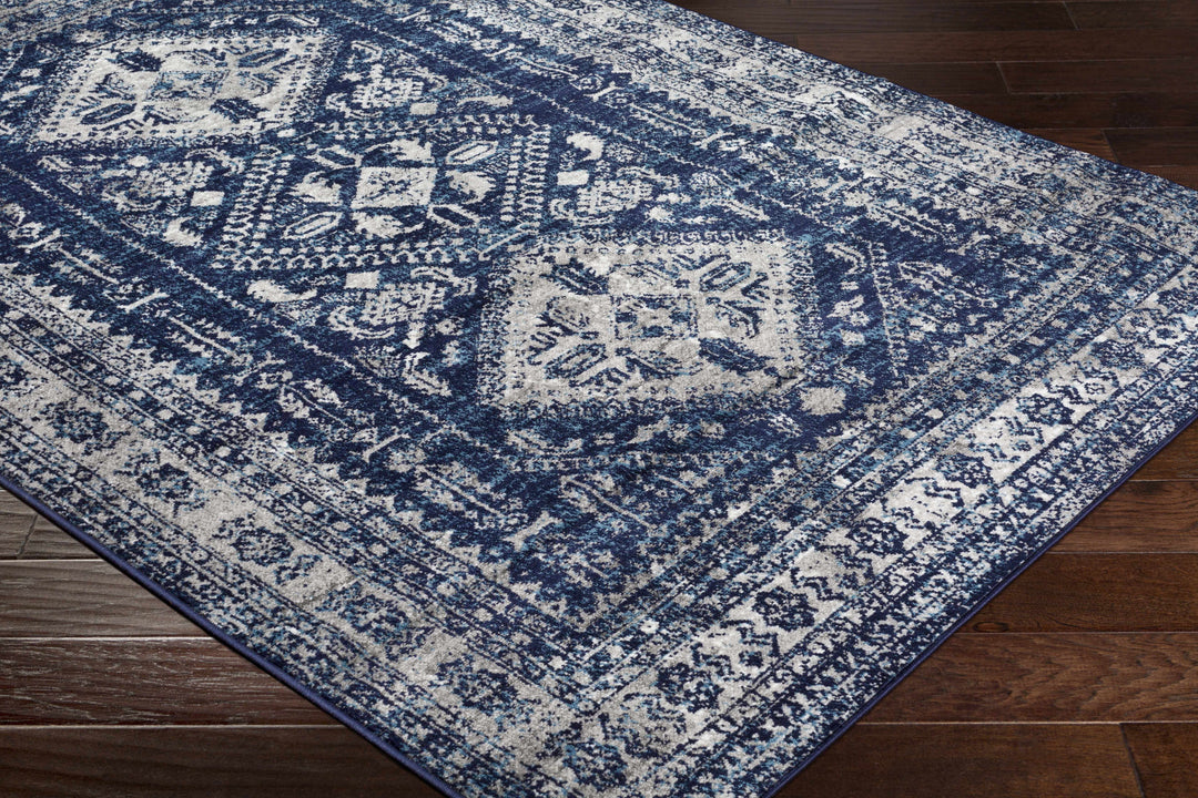 Andes Blue And gray Traditional Medallion Design Area Rug
