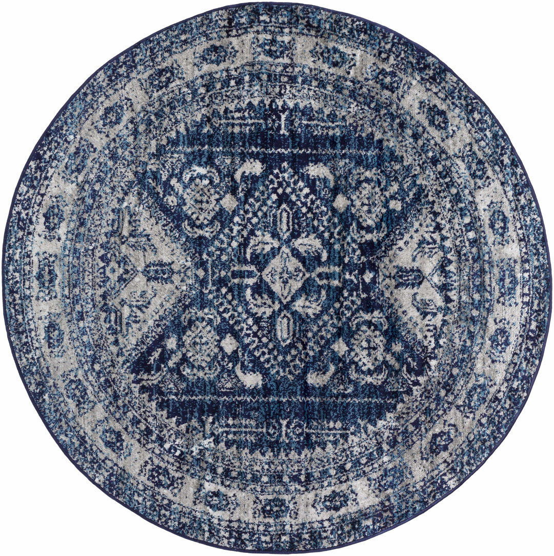 Andes Blue And gray Traditional Medallion Design Area Rug