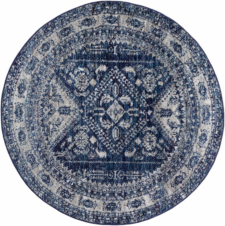 Andes Blue And gray Traditional Medallion Design Area Rug