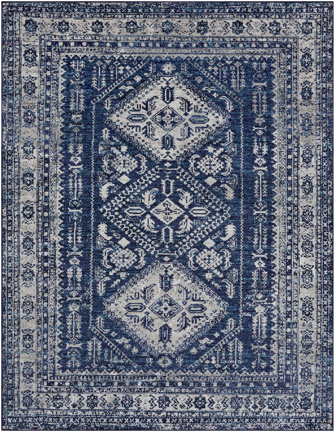Andes Blue And gray Traditional Medallion Design Area Rug