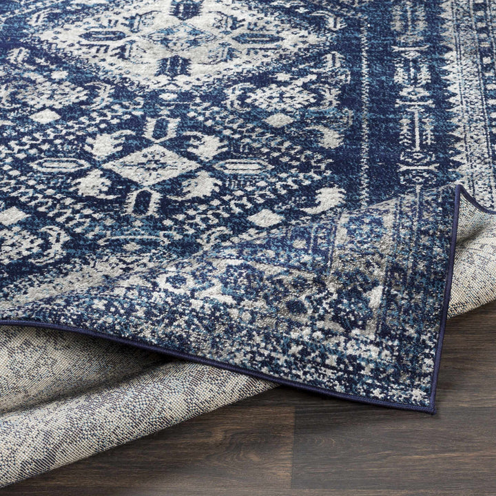 Andes Blue And gray Traditional Medallion Design Area Rug