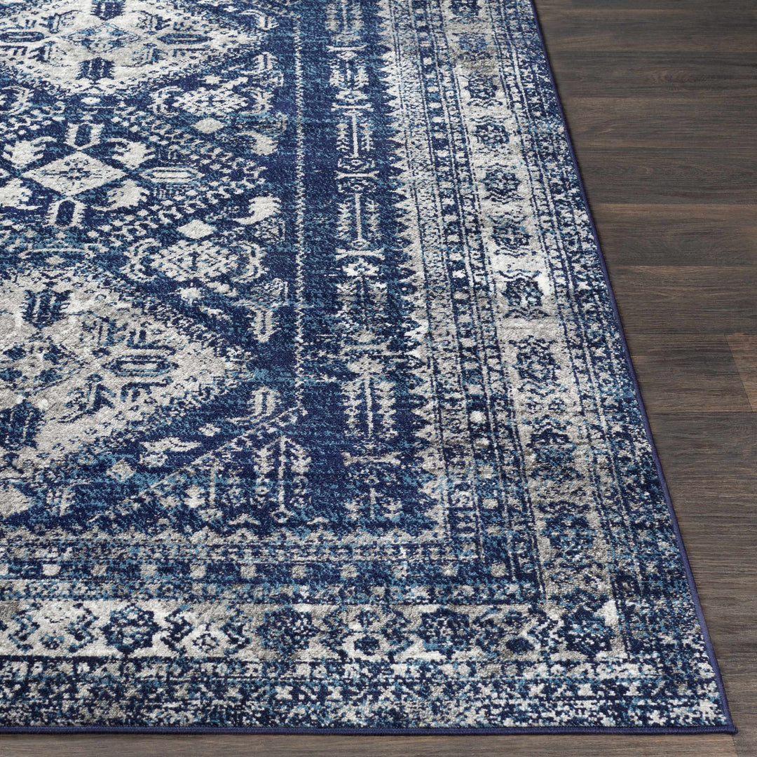 Andes Blue And gray Traditional Medallion Design Area Rug