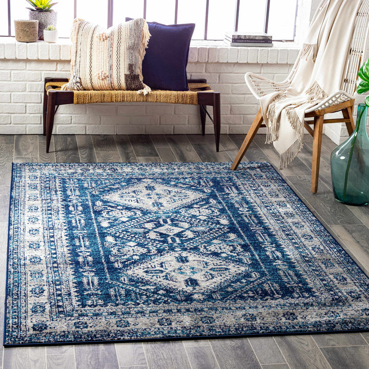 Andes Blue And gray Traditional Medallion Design Area Rug