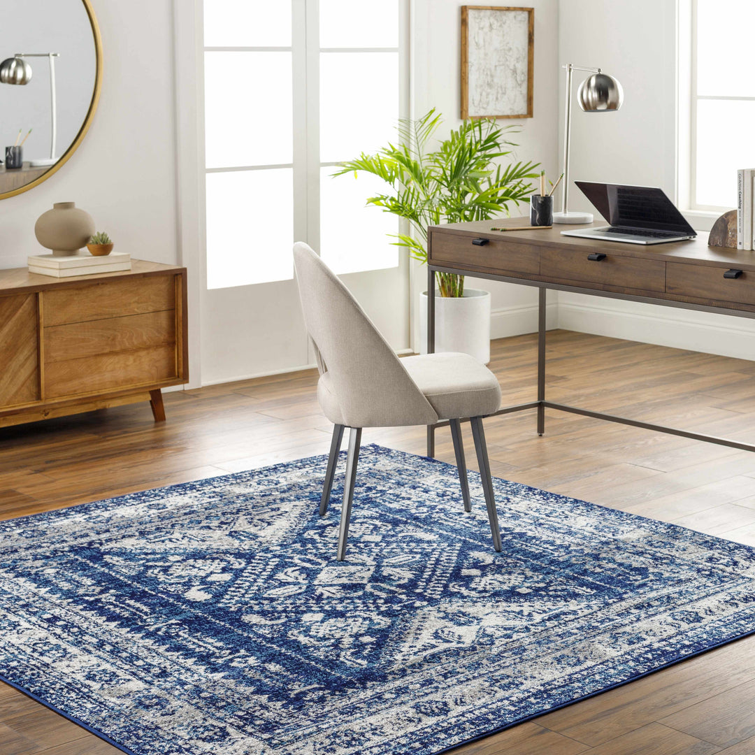 Andes Blue And gray Traditional Medallion Design Area Rug
