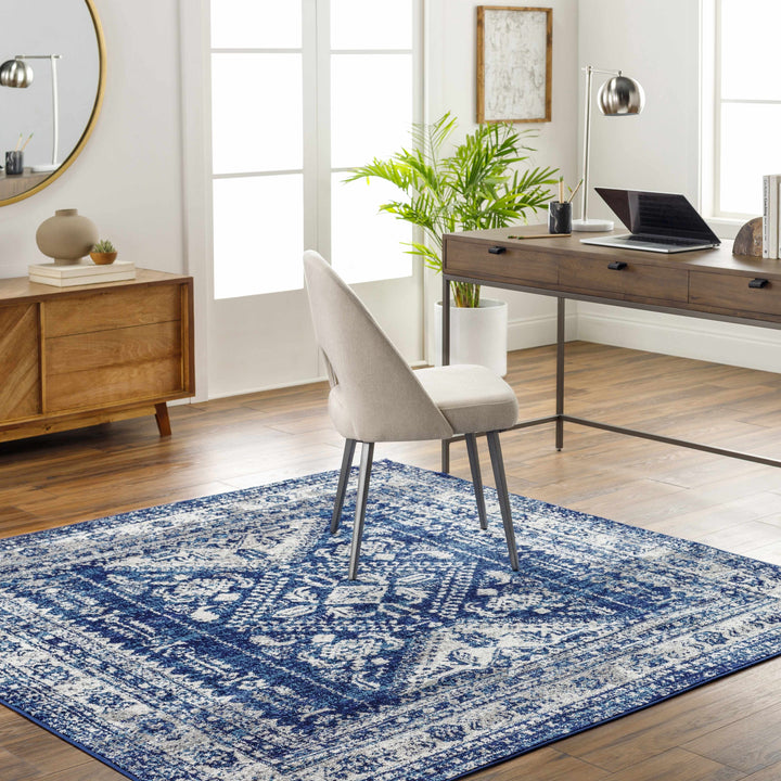 Andes Blue And gray Traditional Medallion Design Area Rug