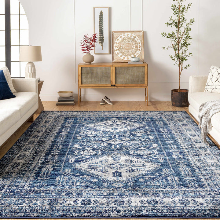 Andes Blue And gray Traditional Medallion Design Area Rug