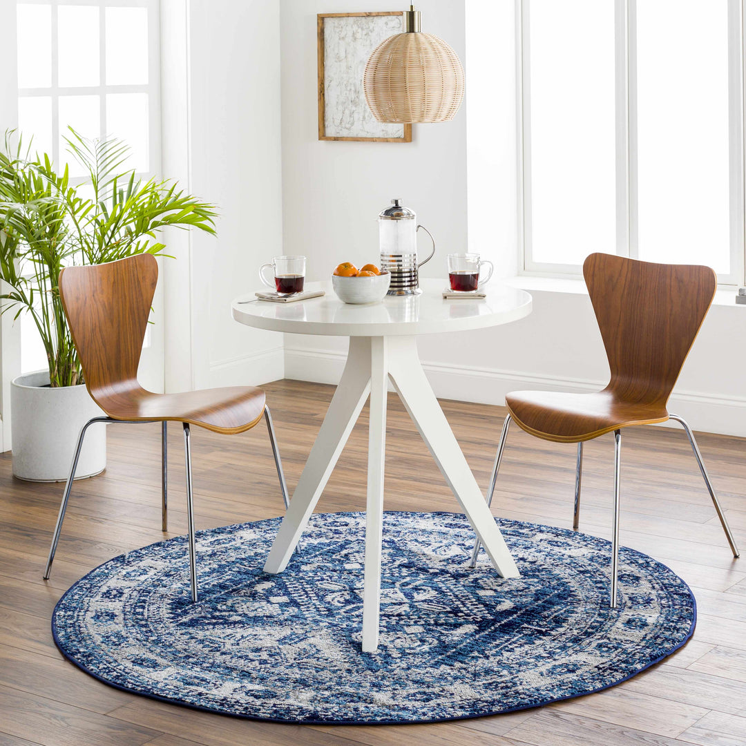 Andes Blue And gray Traditional Medallion Design Area Rug