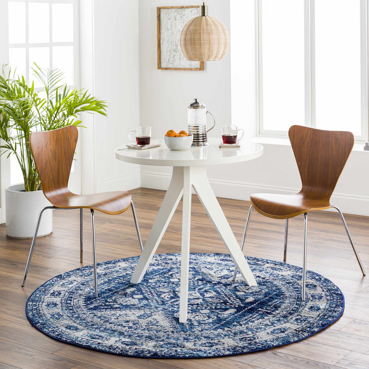 Andes Blue And gray Traditional Medallion Design Area Rug
