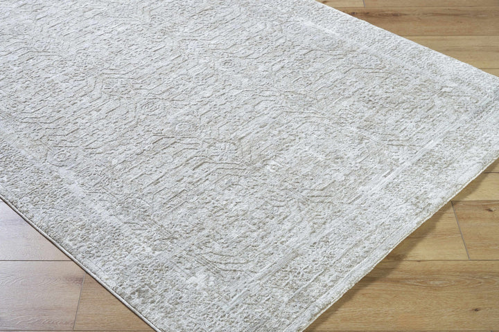 Anders Modern Style Gray Area Rug - The Rug Decor