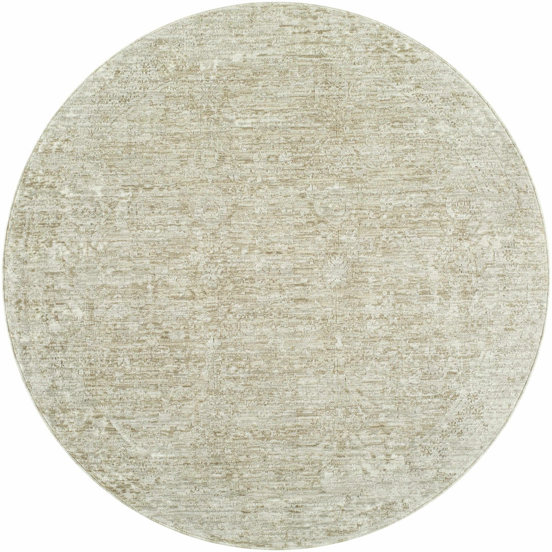 Anders Modern Style Gray Area Rug - The Rug Decor