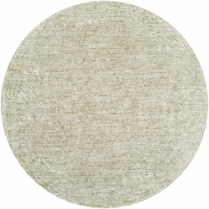 Anders Modern Style Gray Area Rug - The Rug Decor