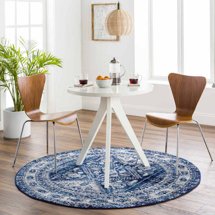 Andes Blue And gray Traditional Medallion Design Area Rug - The Rug Decor