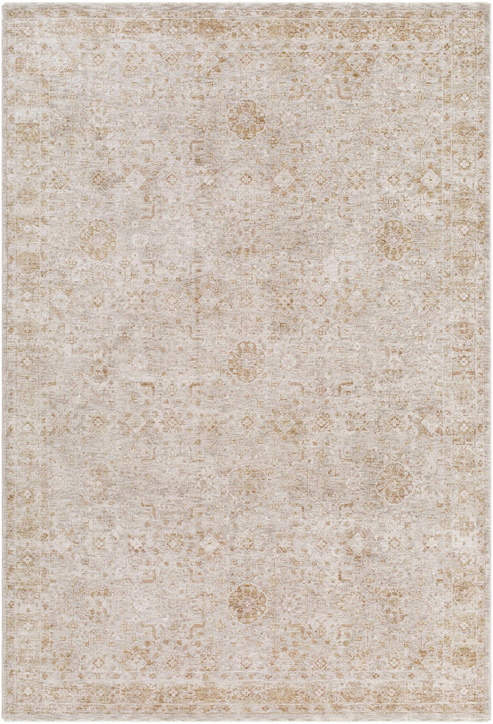 Andres Traditional Style Tan And Cream Area Rug - The Rug Decor