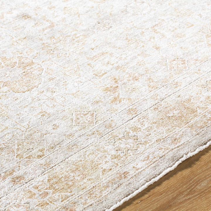 Andres Traditional Style Tan And Cream Area Rug - The Rug Decor