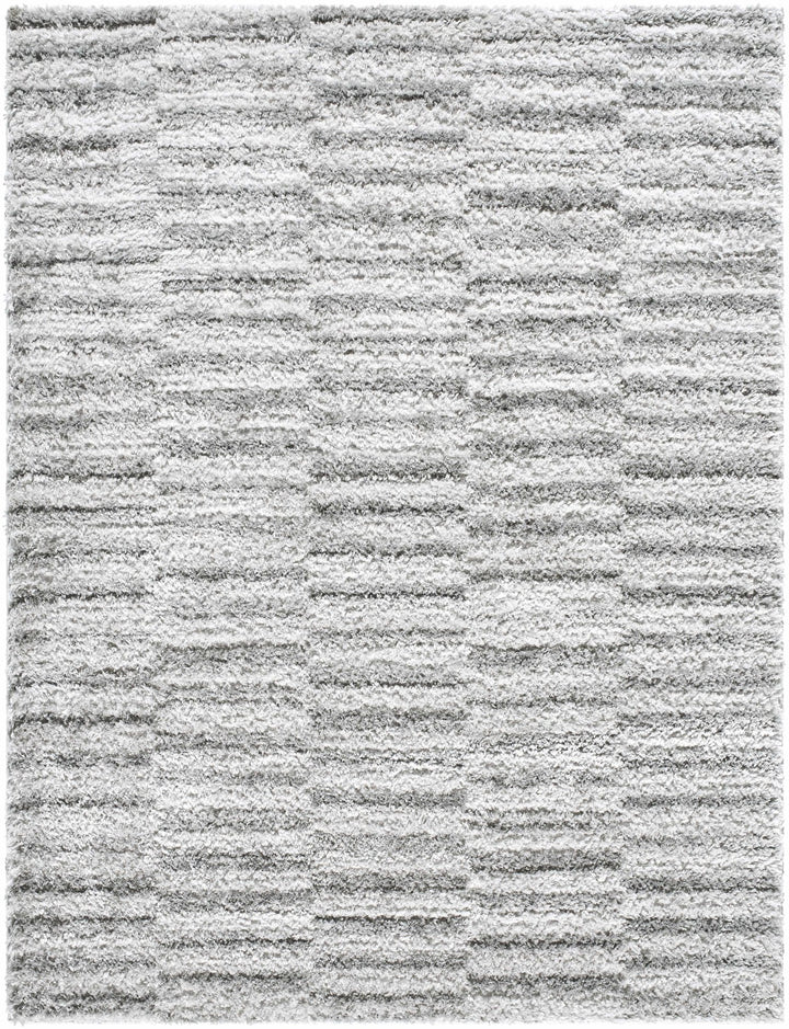 Anevay Modern Stripes Design Gray Area Rug - The Rug Decor