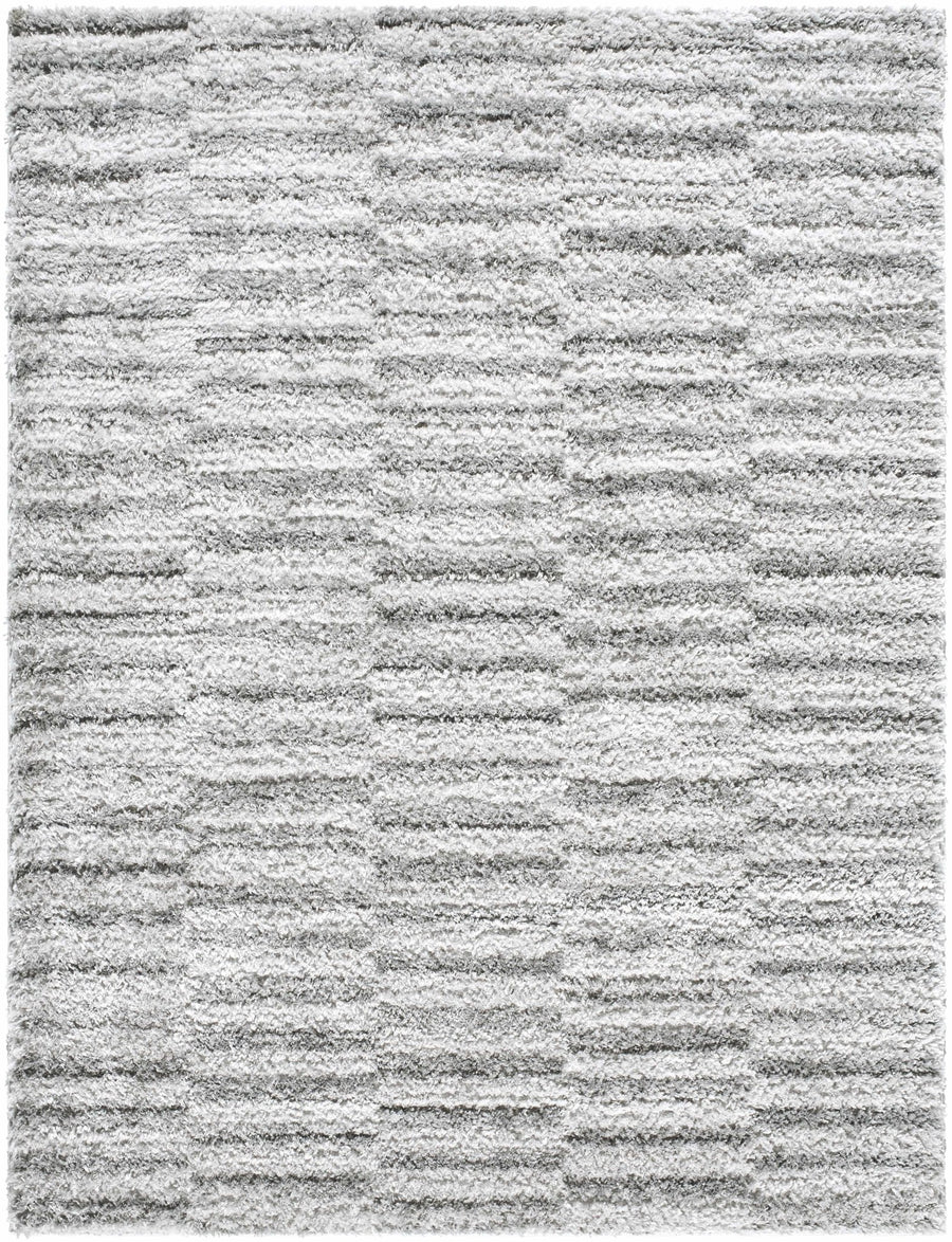 Anevay Modern Stripes Design Gray Area Rug - The Rug Decor