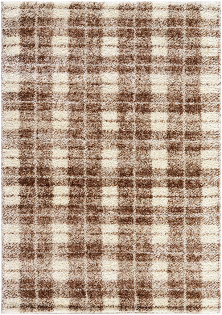 Anfisa Beige Luxe Shag Area Rug - The Rug Decor