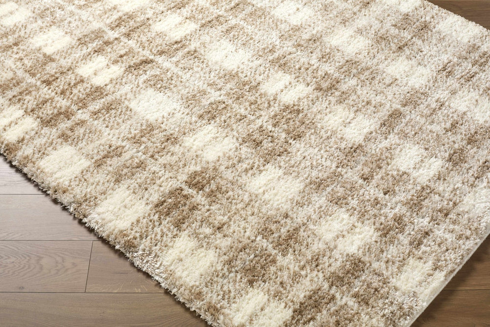 Anfisa Beige Luxe Shag Area Rug - The Rug Decor