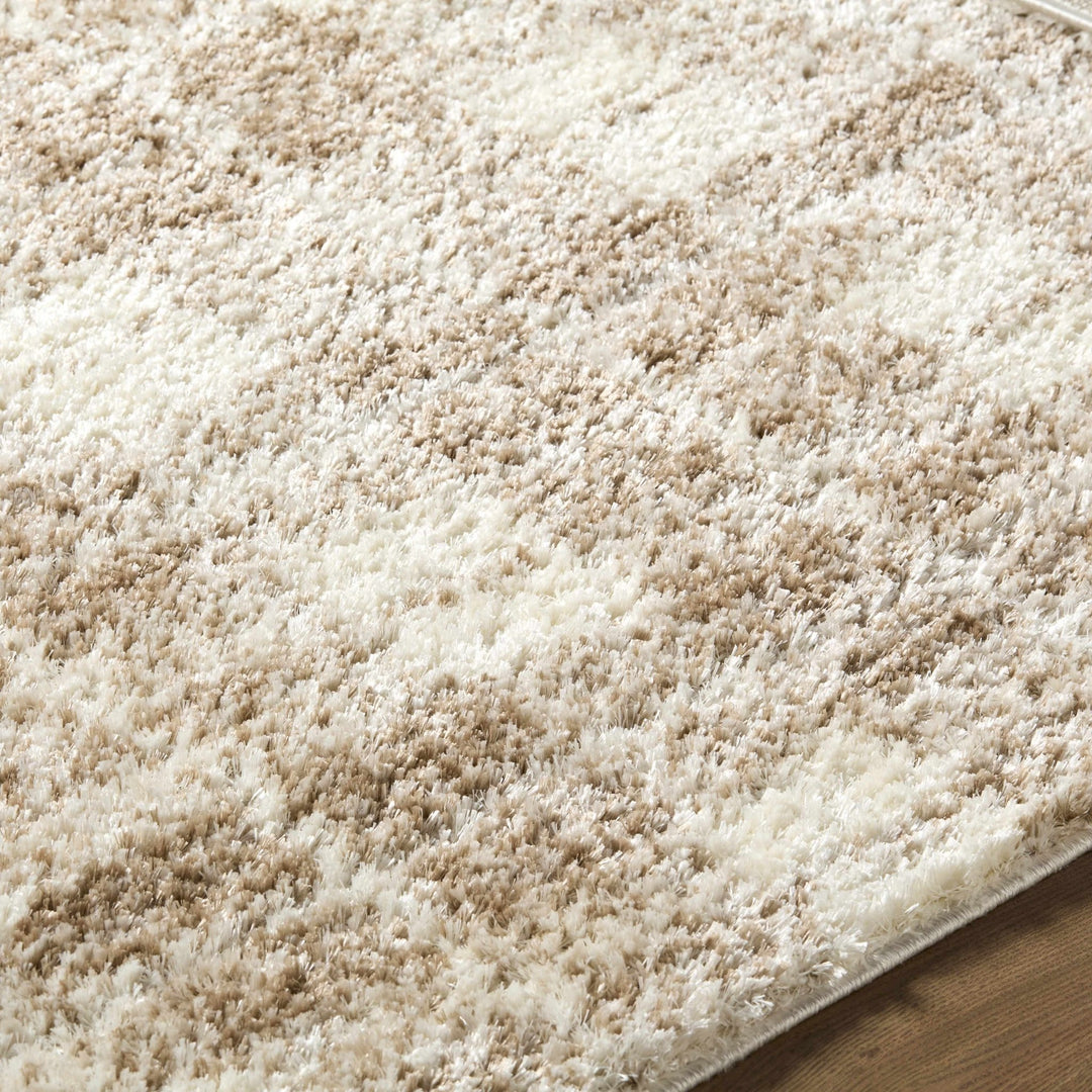 Anfisa Beige Luxe Shag Area Rug - The Rug Decor