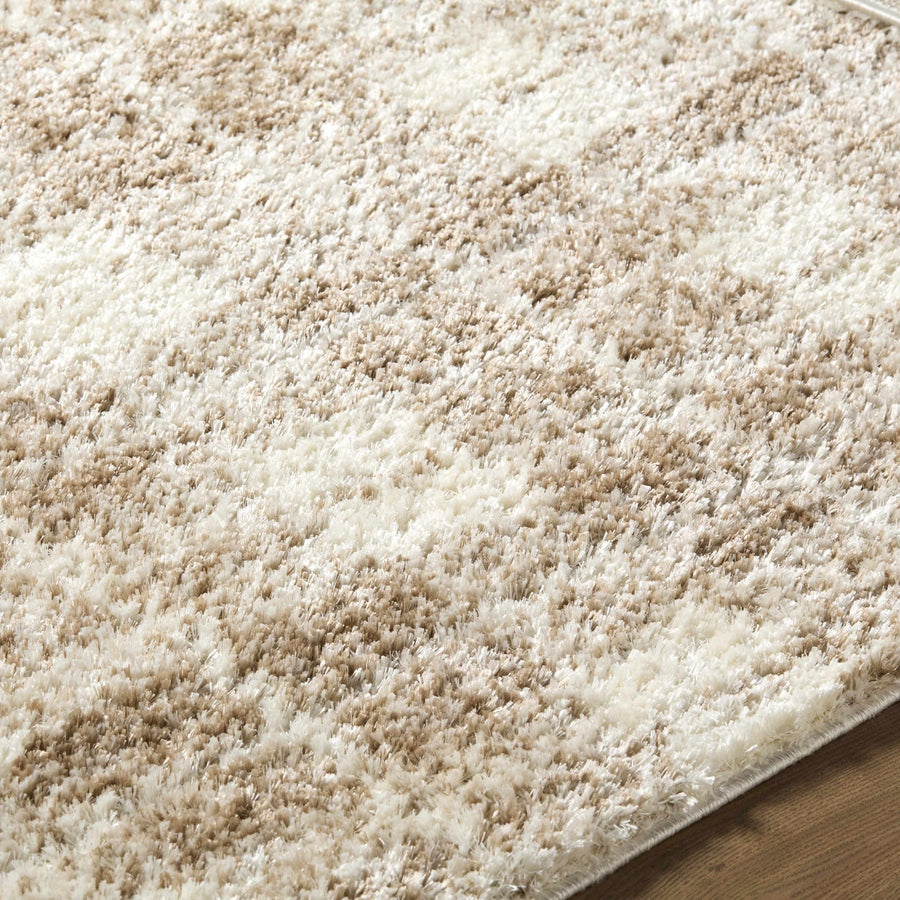 Anfisa Beige Luxe Shag Area Rug - The Rug Decor