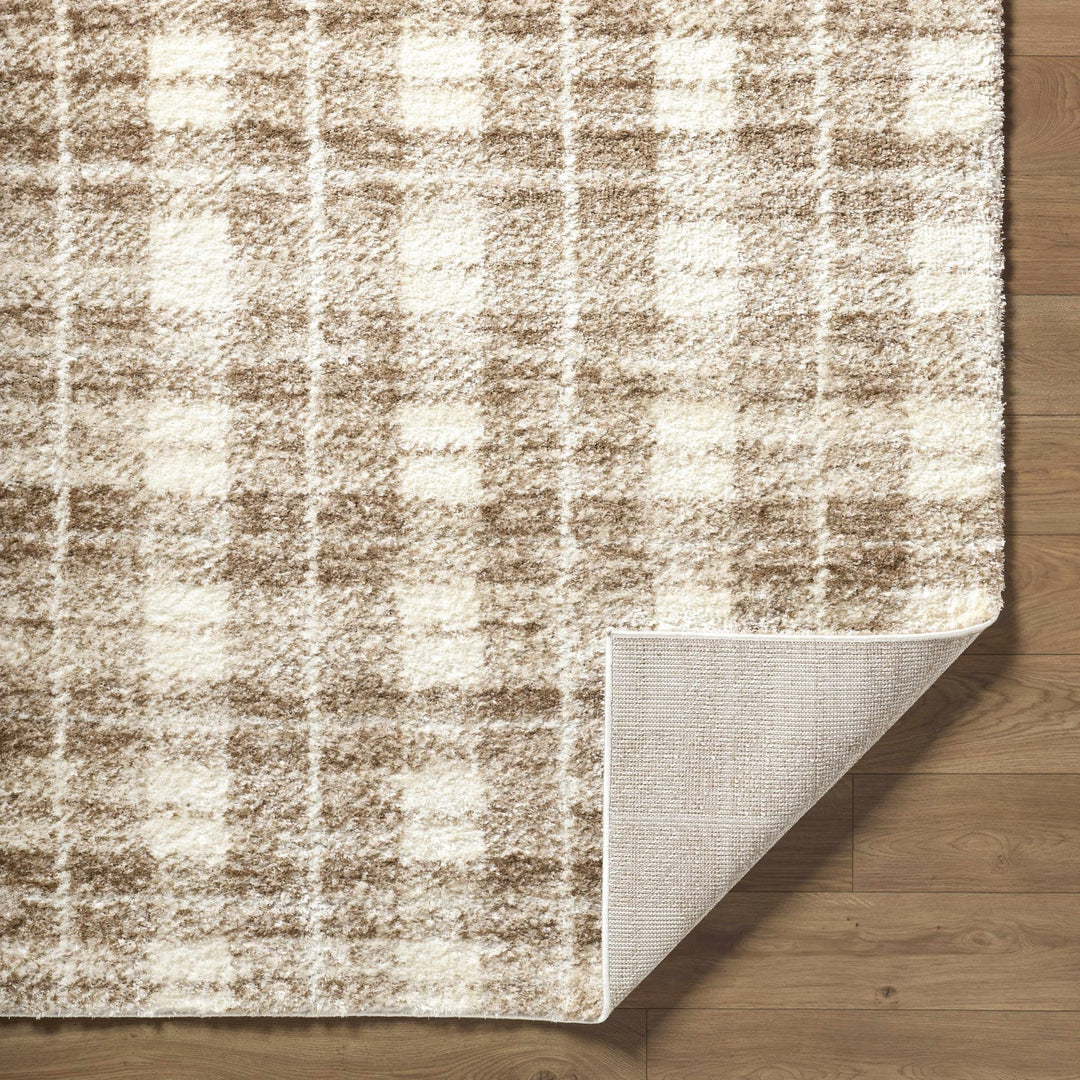 Anfisa Beige Luxe Shag Area Rug - The Rug Decor
