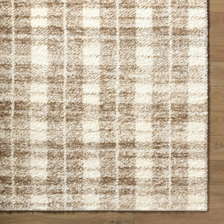 Anfisa Beige Luxe Shag Area Rug - The Rug Decor