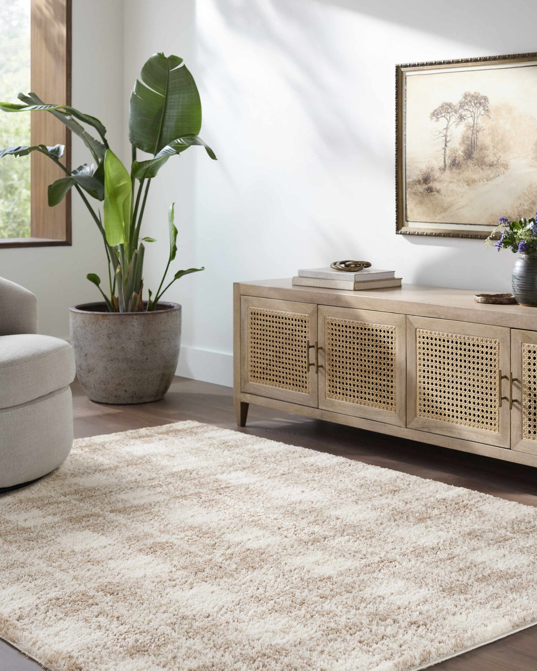 Anfisa Beige Luxe Shag Area Rug - The Rug Decor