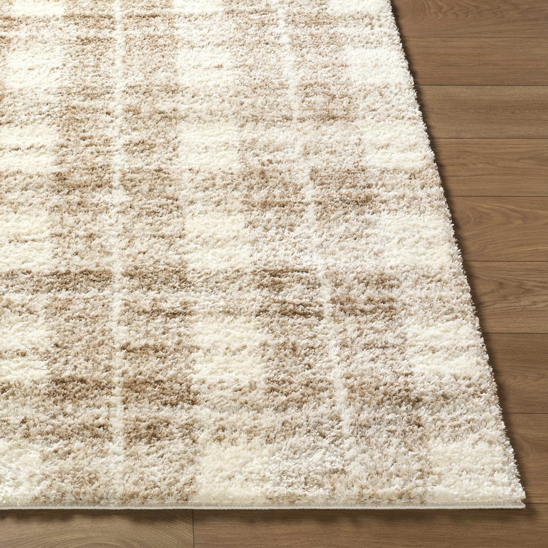Anfisa Beige Luxe Shag Area Rug - The Rug Decor