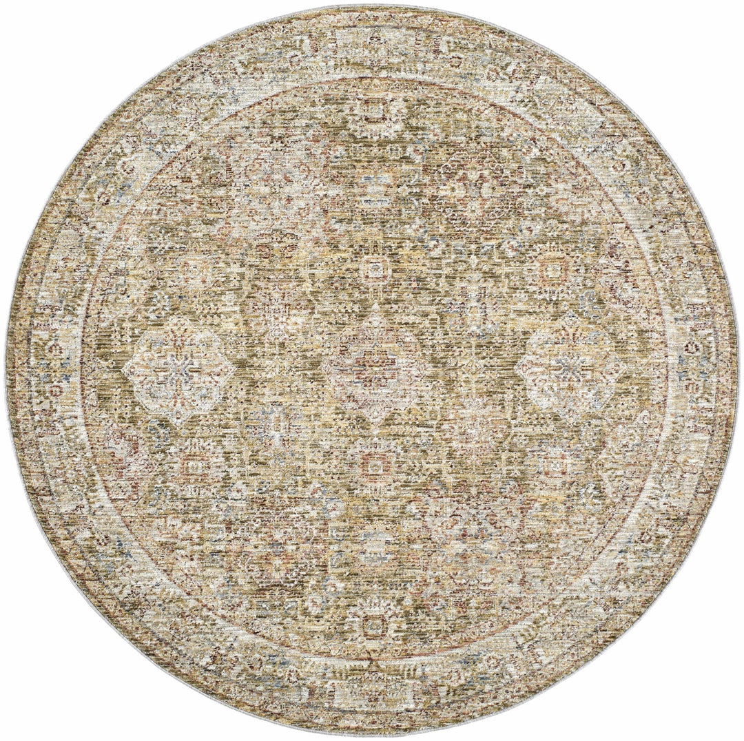 Ange Traditional Medallion Design Olive And Rust Area Rug - The Rug Decor