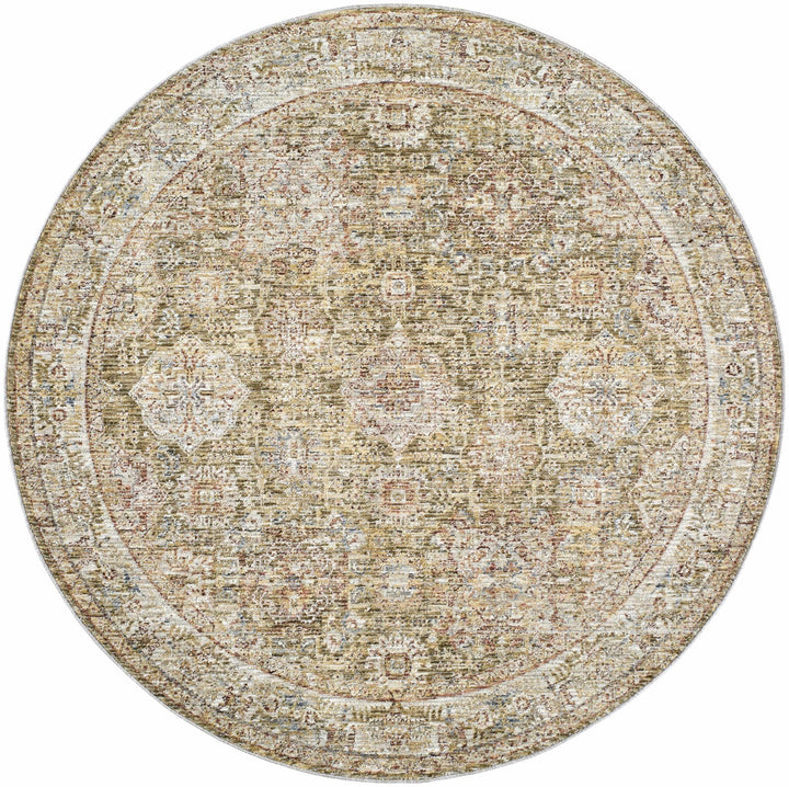 Ange Traditional Medallion Design Olive And Rust Area Rug - The Rug Decor