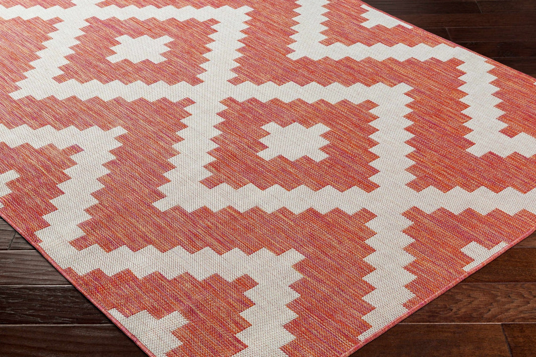 Anke Bohemian Style Burnt Orange Area Rug - The Rug Decor